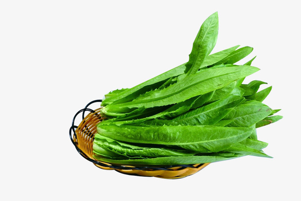 卡通手绘绿色的油麦菜免抠