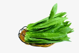 卡通手绘绿色的油麦菜免抠