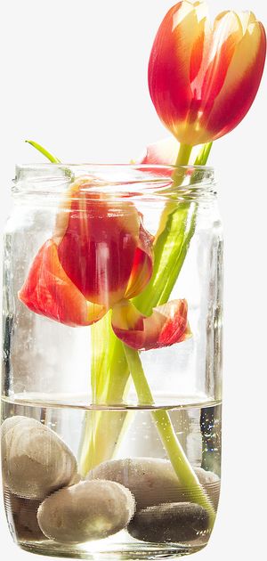 春天绿色郁金香水倒影红色免抠