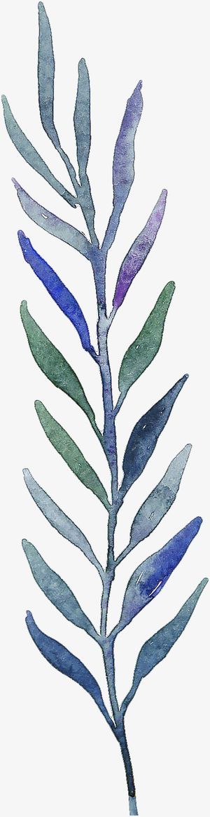 水彩复古树叶树枝免抠