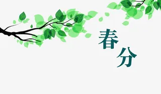 二十四节气之春分绿叶萌芽免抠