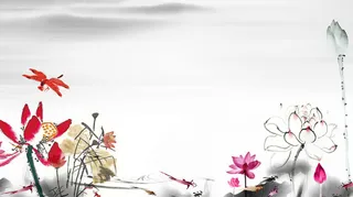 古风荷花背景