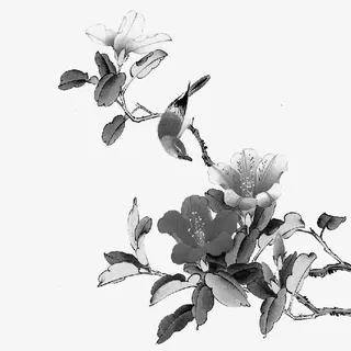 水墨花鸟免抠
