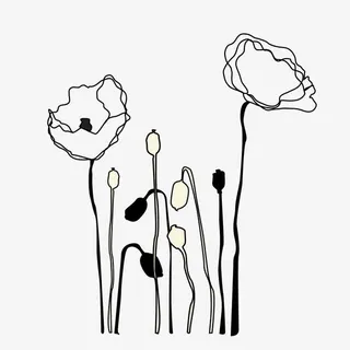 手绘线条花卉矢量素材免抠