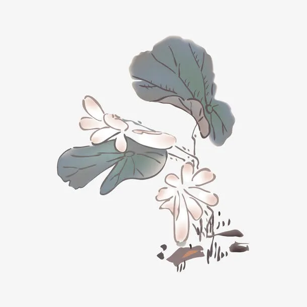 水彩荷叶免抠