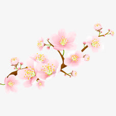 手绘粉色梅花透明免抠