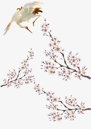 仙鹤和花带枝免抠