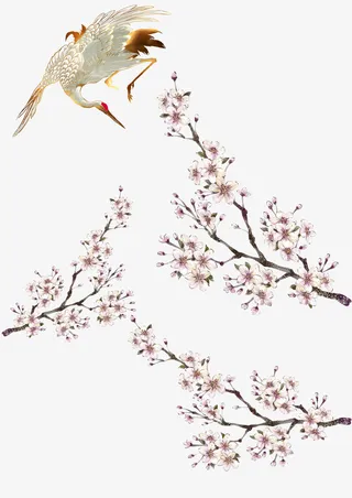 仙鹤和花带枝免抠