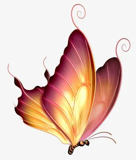 蝴蝶剪影绚丽   卡通梦幻蝴蝶免抠