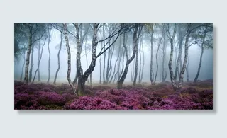 风景花海树木背景高清