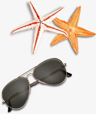 海星墨镜海滩元素免抠