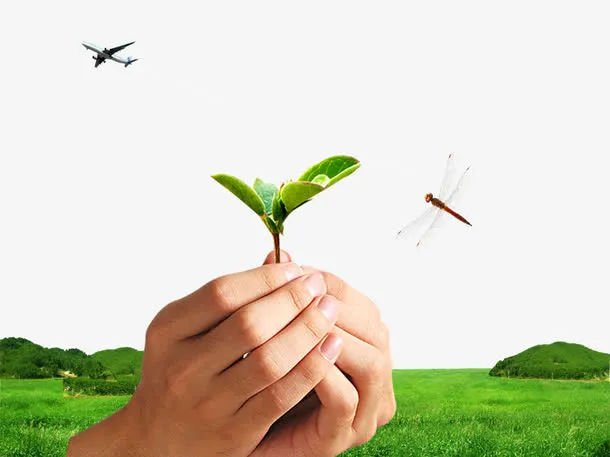 手捧幼芽草地素材免抠