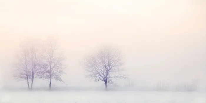 圣诞简约背景（1920*960）高清