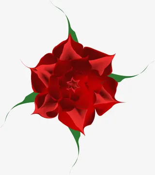 漂亮的玫瑰花免抠