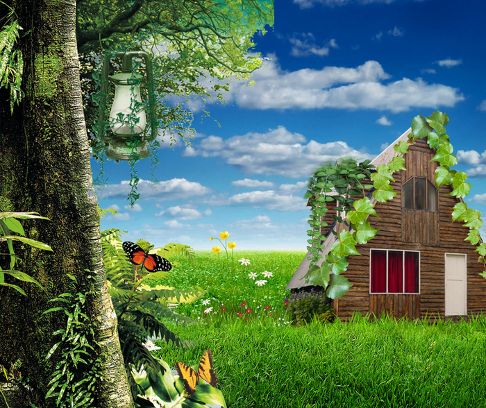 森林中奇特的小屋高清