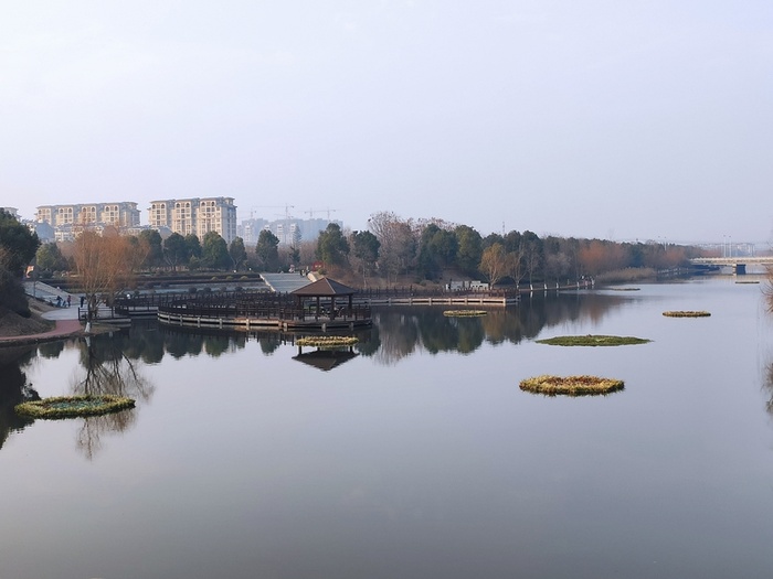 公园湖泊美景高清