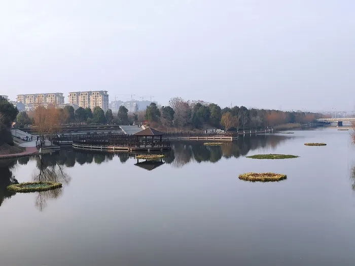 公园湖泊美景高清
