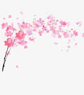 樱花免抠