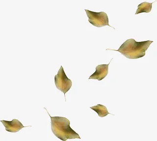 国画花草素材卡通装饰素材免抠