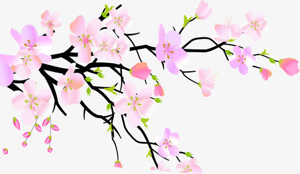 七夕彩绘梅花免抠