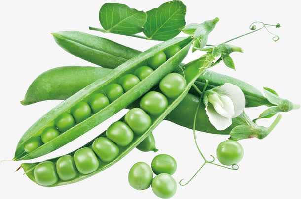 豌豆免抠