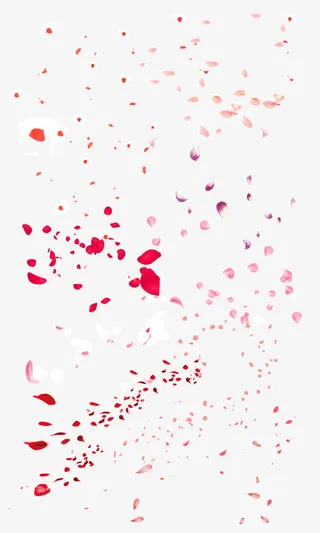 玫瑰花瓣漂浮免抠