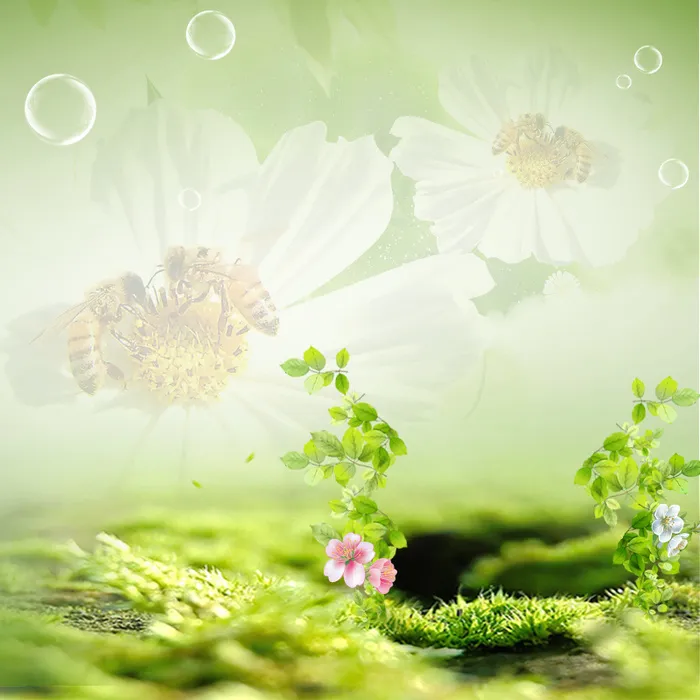 蜂蜜主图高清