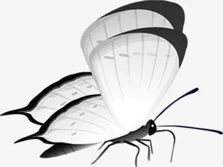 黑色手绘水墨蝴蝶免抠