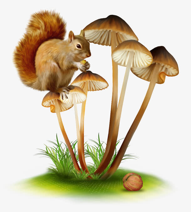 童话世界卡通手绘蘑菇免抠