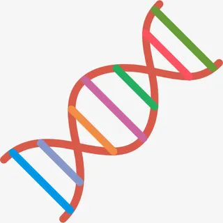 DNA 图标免抠