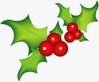 手绘圣诞节绿叶装饰免抠