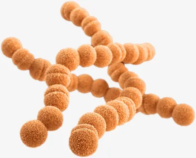 细菌微生物病毒金黄葡萄球菌免抠