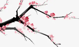 水墨画桃花免抠