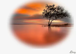 花草图案鲜花花卉免抠