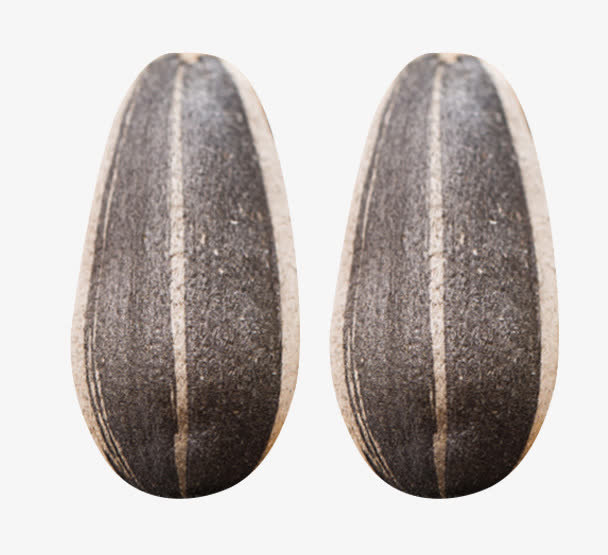 两颗薄皮葵花籽免抠