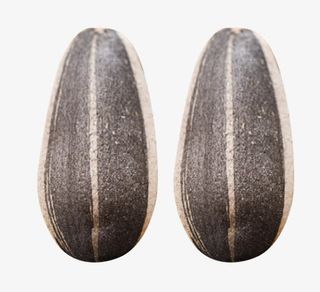 两颗薄皮葵花籽免抠