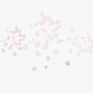 花瓣底纹素材图片免抠