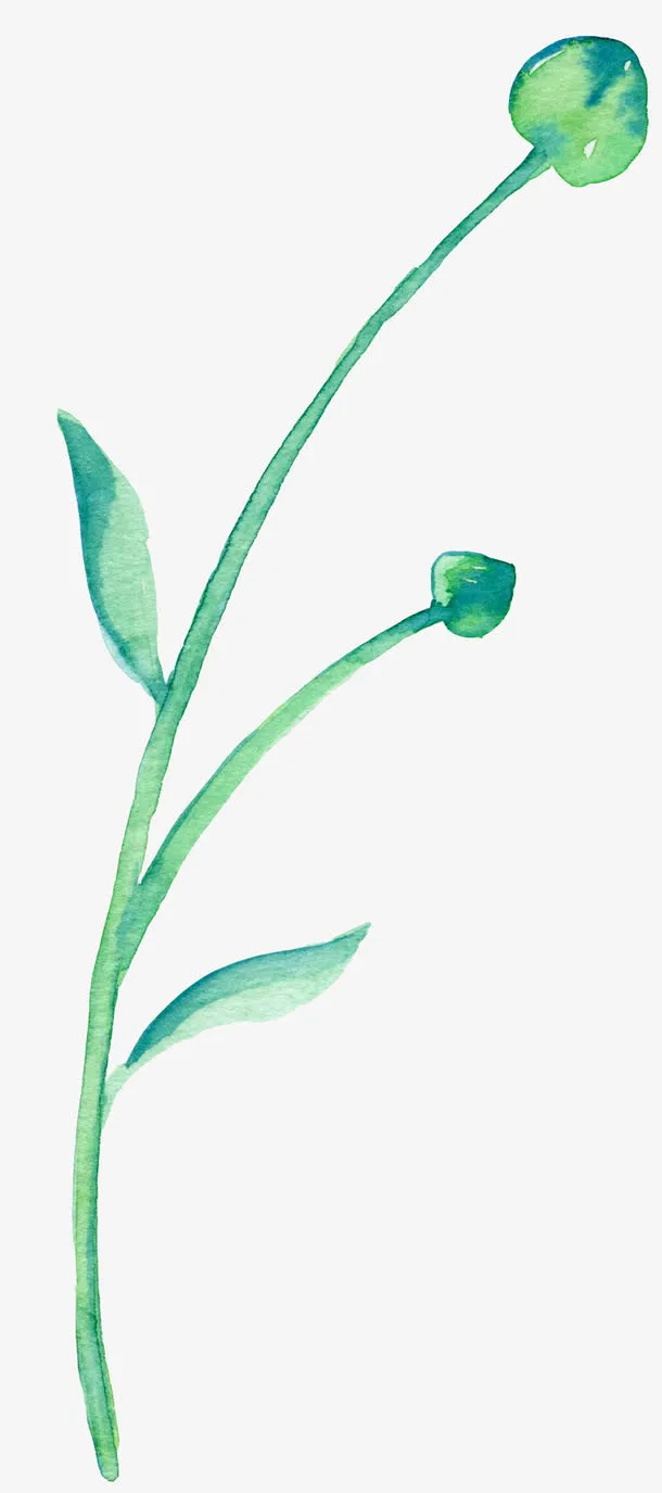 创意叶子免抠