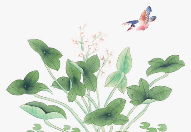 粉色花朵免抠