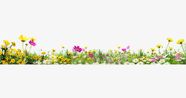 美妙的花丛免抠
