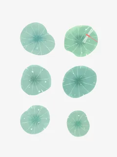 池塘荷叶矢量图免抠