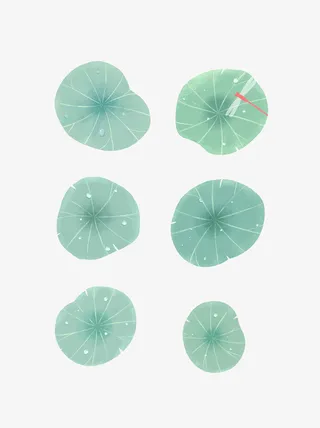 池塘荷叶矢量图免抠