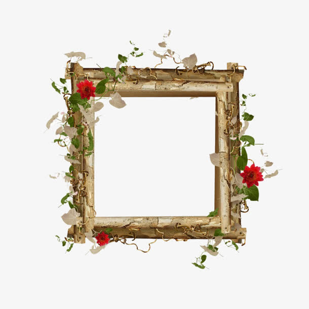 花卉裱框免抠