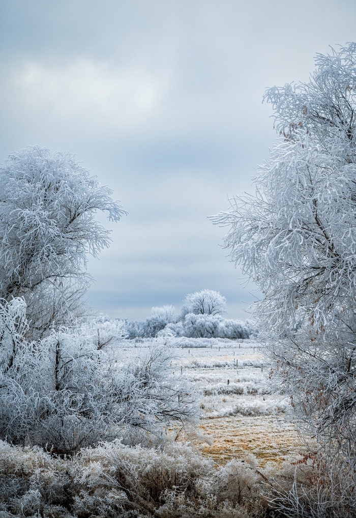 简单的雪地背景高清