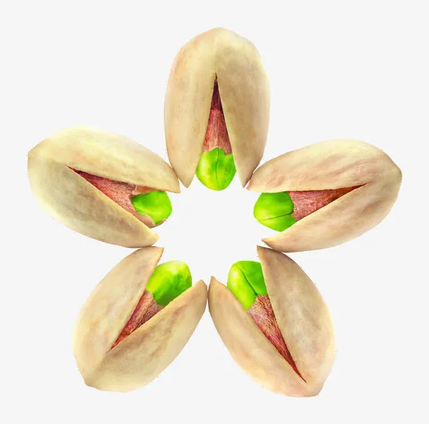 坚果图案 开心果免抠