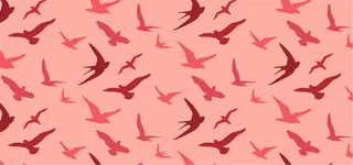 粉色飞鸟背景高清