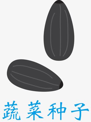 矢量种子财富种子免抠