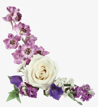 花卉线描创意花卉图片免抠