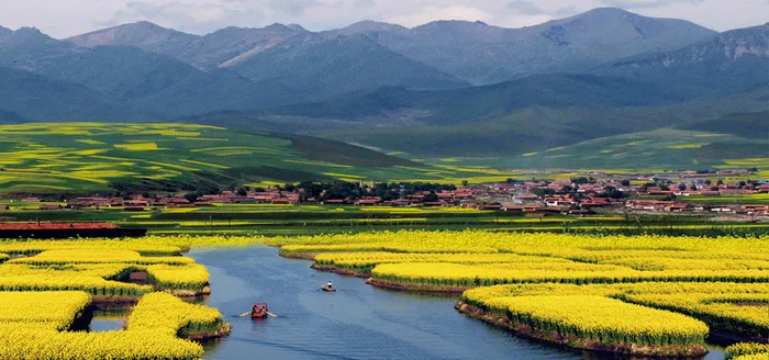 油菜花田唯美海报背景高清