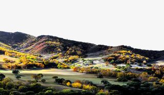 坝上美丽秋景免抠